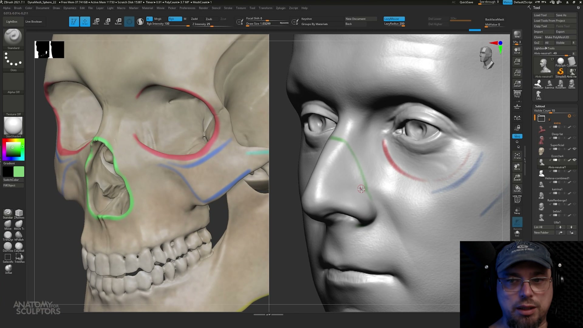 Anatomie de la tête